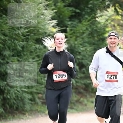 13.04.2025 - Hammer Lauf Dr. Thomas Lammeyer http://msf.ph/oto/7659341 13.04.2025 10:52:26 Laufen 15, 1269, 15, 1270 meine-sportfotos.de