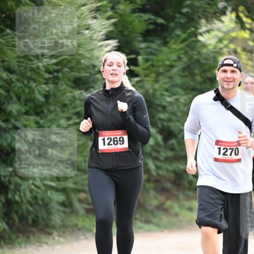 13.04.2025 - Hammer Lauf Dr. Thomas Lammeyer http://msf.ph/oto/7659343 13.04.2025 10:52:26 Laufen 15, 1269, 15, 1270 meine-sportfotos.de