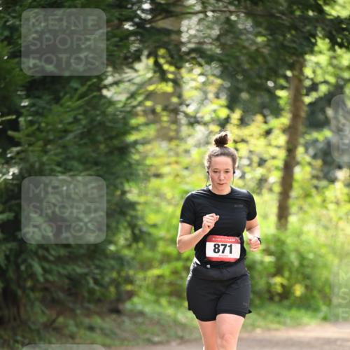 13.04.2025 - Hammer Lauf Dr. Thomas Lammeyer http://msf.ph/oto/7659422 13.04.2025 10:52:49 Laufen 15, 871 meine-sportfotos.de