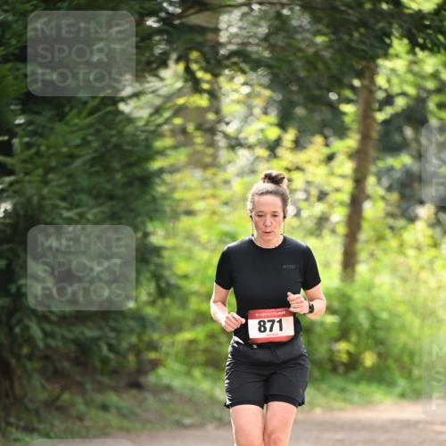 13.04.2025 - Hammer Lauf Dr. Thomas Lammeyer http://msf.ph/oto/7659424 13.04.2025 10:52:49 Laufen 15, 871 meine-sportfotos.de