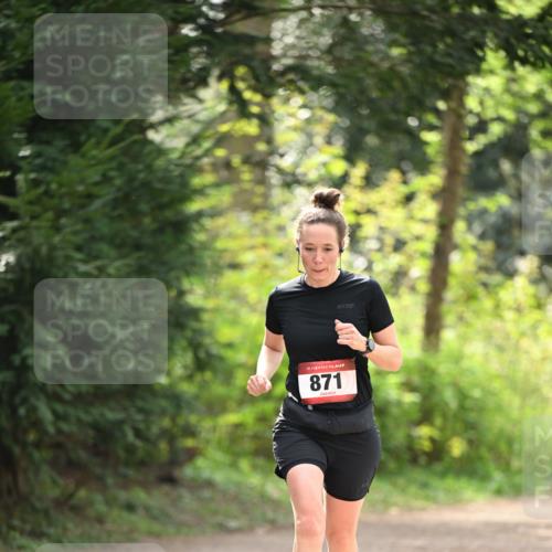 13.04.2025 - Hammer Lauf Dr. Thomas Lammeyer http://msf.ph/oto/7659426 13.04.2025 10:52:49 Laufen 15, 871 meine-sportfotos.de