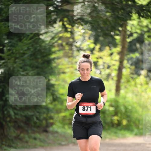 13.04.2025 - Hammer Lauf Dr. Thomas Lammeyer http://msf.ph/oto/7659430 13.04.2025 10:52:50 Laufen 15, 871 meine-sportfotos.de