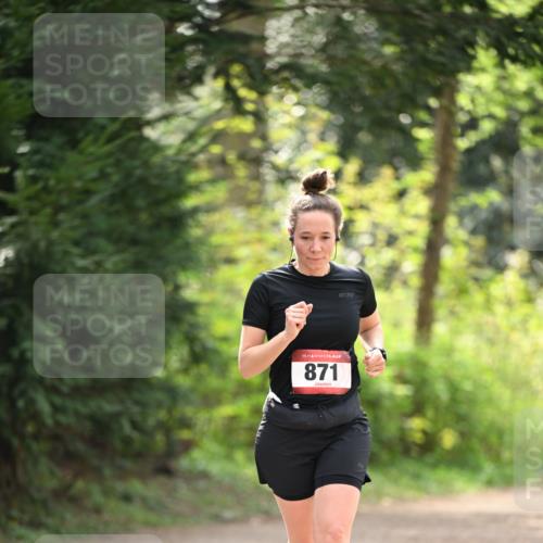 13.04.2025 - Hammer Lauf Dr. Thomas Lammeyer http://msf.ph/oto/7659431 13.04.2025 10:52:50 Laufen 15, 871 meine-sportfotos.de