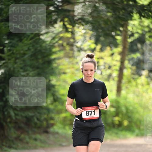 13.04.2025 - Hammer Lauf Dr. Thomas Lammeyer http://msf.ph/oto/7659432 13.04.2025 10:52:50 Laufen 15, 871 meine-sportfotos.de