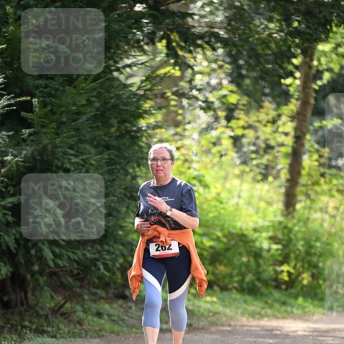 13.04.2025 - Hammer Lauf Dr. Thomas Lammeyer http://msf.ph/oto/7659466 13.04.2025 10:59:32 Laufen 262 meine-sportfotos.de