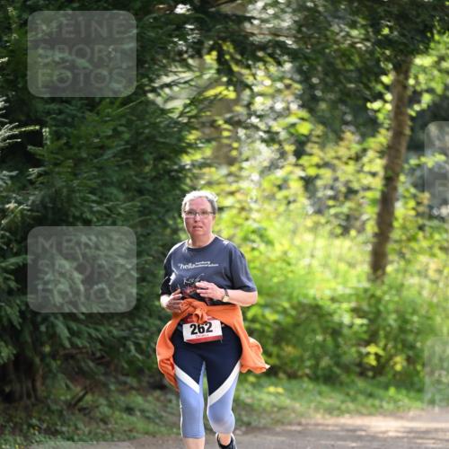 13.04.2025 - Hammer Lauf Dr. Thomas Lammeyer http://msf.ph/oto/7659468 13.04.2025 10:59:32 Laufen 262 meine-sportfotos.de
