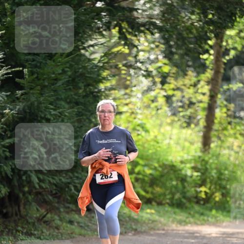 13.04.2025 - Hammer Lauf Dr. Thomas Lammeyer http://msf.ph/oto/7659470 13.04.2025 10:59:32 Laufen 262 meine-sportfotos.de