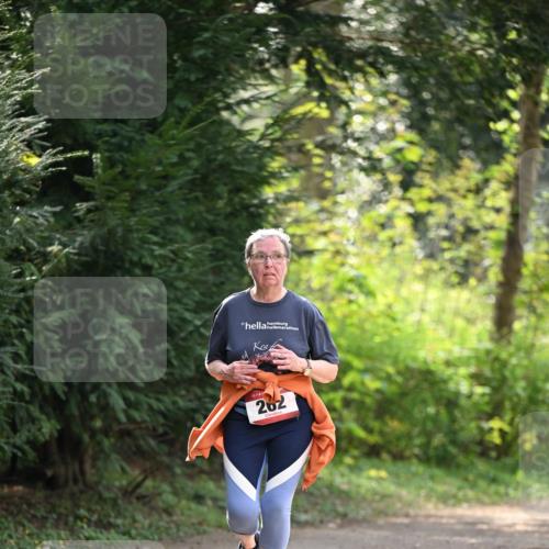 13.04.2025 - Hammer Lauf Dr. Thomas Lammeyer http://msf.ph/oto/7659474 13.04.2025 10:59:33 Laufen 262 meine-sportfotos.de