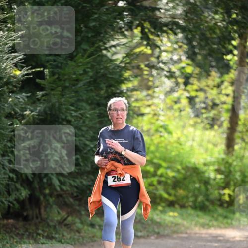 13.04.2025 - Hammer Lauf Dr. Thomas Lammeyer http://msf.ph/oto/7659476 13.04.2025 10:59:33 Laufen 17, 15, 262 meine-sportfotos.de