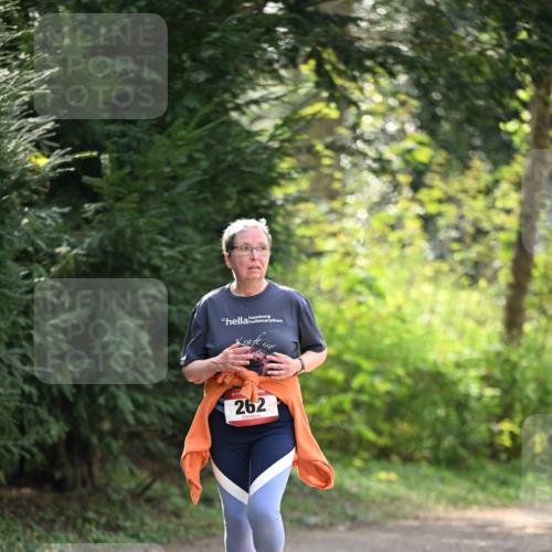13.04.2025 - Hammer Lauf Dr. Thomas Lammeyer http://msf.ph/oto/7659481 13.04.2025 10:59:33 Laufen 17, 262 meine-sportfotos.de