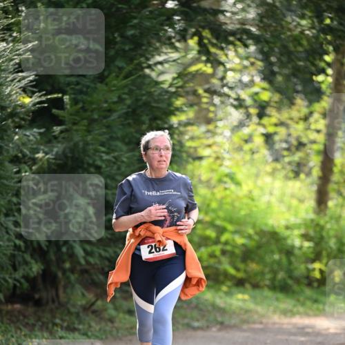 13.04.2025 - Hammer Lauf Dr. Thomas Lammeyer http://msf.ph/oto/7659483 13.04.2025 10:59:33 Laufen 15, 262 meine-sportfotos.de