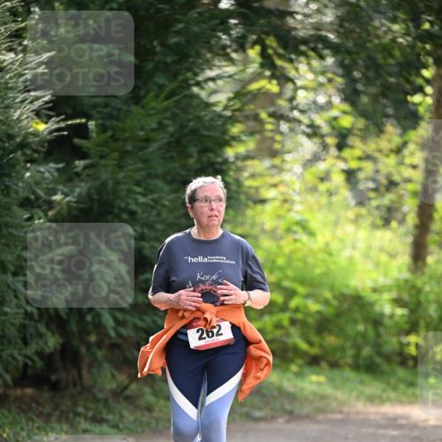 13.04.2025 - Hammer Lauf Dr. Thomas Lammeyer http://msf.ph/oto/7659485 13.04.2025 10:59:33 Laufen 15, 262 meine-sportfotos.de