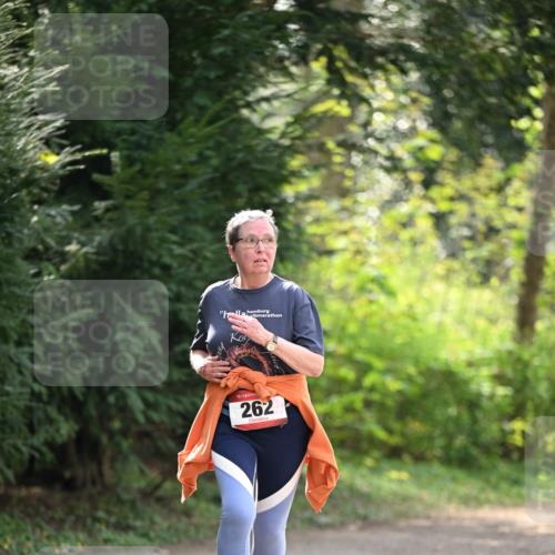 13.04.2025 - Hammer Lauf Dr. Thomas Lammeyer http://msf.ph/oto/7659486 13.04.2025 10:59:34 Laufen 17, 15, 262 meine-sportfotos.de