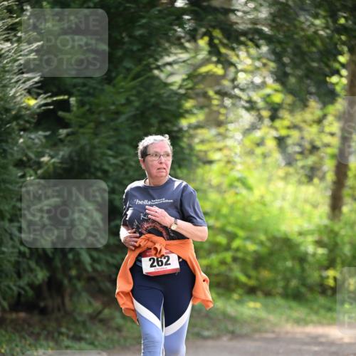 13.04.2025 - Hammer Lauf Dr. Thomas Lammeyer http://msf.ph/oto/7659487 13.04.2025 10:59:34 Laufen 15, 262 meine-sportfotos.de