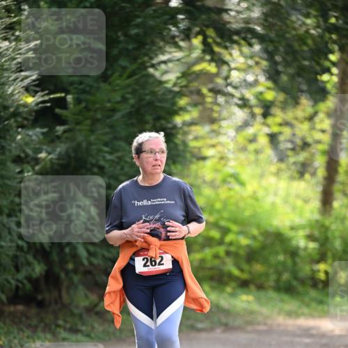 13.04.2025 - Hammer Lauf Dr. Thomas Lammeyer http://msf.ph/oto/7659489 13.04.2025 10:59:34 Laufen 15, 262 meine-sportfotos.de