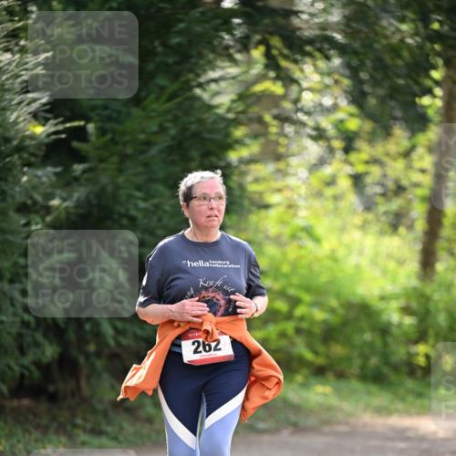 13.04.2025 - Hammer Lauf Dr. Thomas Lammeyer http://msf.ph/oto/7659493 13.04.2025 10:59:34 Laufen 17, 15, 262 meine-sportfotos.de