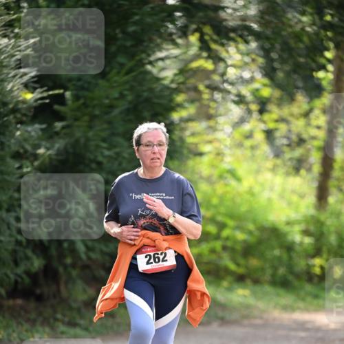 13.04.2025 - Hammer Lauf Dr. Thomas Lammeyer http://msf.ph/oto/7659495 13.04.2025 10:59:34 Laufen 17, 15, 262 meine-sportfotos.de