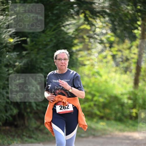 13.04.2025 - Hammer Lauf Dr. Thomas Lammeyer http://msf.ph/oto/7659498 13.04.2025 10:59:34 Laufen 1, 15, 262 meine-sportfotos.de