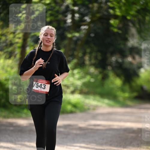 13.04.2025 - Hammer Lauf Dr. Thomas Lammeyer http://msf.ph/oto/7659553 13.04.2025 11:00:17 Laufen 543 meine-sportfotos.de