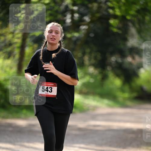 13.04.2025 - Hammer Lauf Dr. Thomas Lammeyer http://msf.ph/oto/7659559 13.04.2025 11:00:18 Laufen 15, 543 meine-sportfotos.de