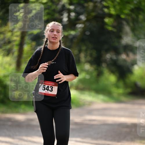 13.04.2025 - Hammer Lauf Dr. Thomas Lammeyer http://msf.ph/oto/7659561 13.04.2025 11:00:18 Laufen 543 meine-sportfotos.de