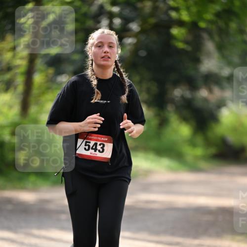 13.04.2025 - Hammer Lauf Dr. Thomas Lammeyer http://msf.ph/oto/7659565 13.04.2025 11:00:18 Laufen 1, 543 meine-sportfotos.de