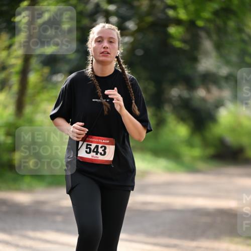 13.04.2025 - Hammer Lauf Dr. Thomas Lammeyer http://msf.ph/oto/7659568 13.04.2025 11:00:19 Laufen 5, 543 meine-sportfotos.de