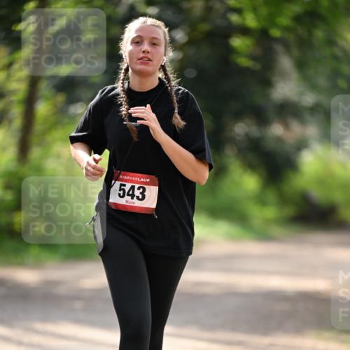 13.04.2025 - Hammer Lauf Dr. Thomas Lammeyer http://msf.ph/oto/7659570 13.04.2025 11:00:19 Laufen 15, 543 meine-sportfotos.de