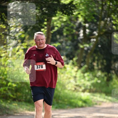13.04.2025 - Hammer Lauf Dr. Thomas Lammeyer http://msf.ph/oto/7659638 13.04.2025 11:00:55 Laufen 378 meine-sportfotos.de
