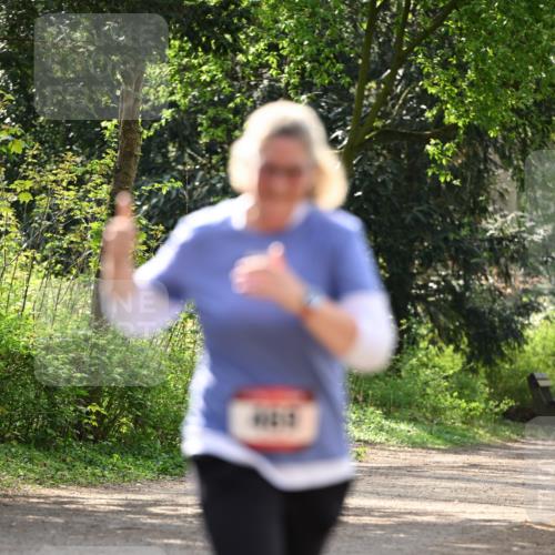 13.04.2025 - Hammer Lauf Dr. Thomas Lammeyer http://msf.ph/oto/7659689 13.04.2025 11:01:32 Laufen  meine-sportfotos.de