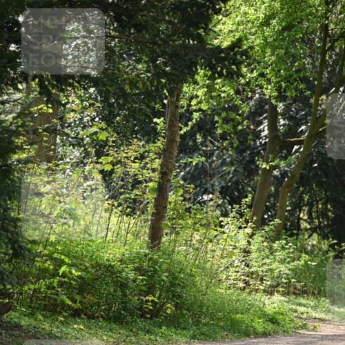 13.04.2025 - Hammer Lauf Dr. Thomas Lammeyer http://msf.ph/oto/7659707 13.04.2025 11:01:34 Laufen  meine-sportfotos.de