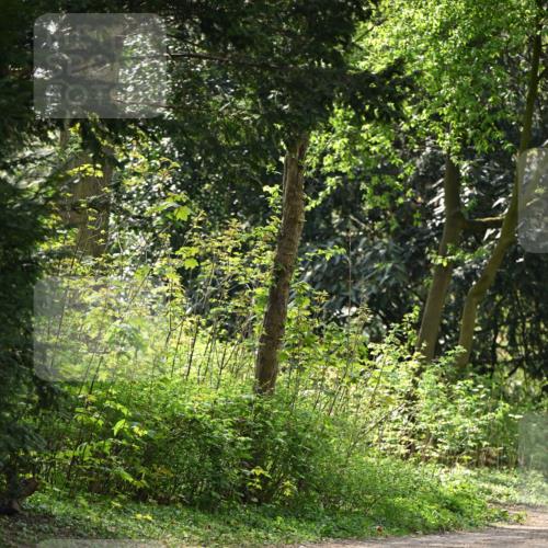 13.04.2025 - Hammer Lauf Dr. Thomas Lammeyer http://msf.ph/oto/7659710 13.04.2025 11:01:34 Laufen  meine-sportfotos.de