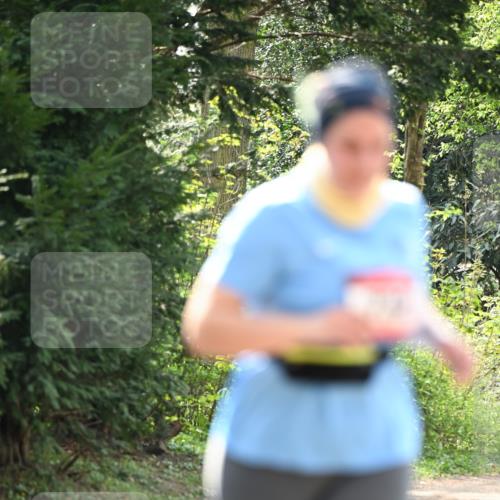 13.04.2025 - Hammer Lauf Dr. Thomas Lammeyer http://msf.ph/oto/7659744 13.04.2025 11:02:17 Laufen  meine-sportfotos.de