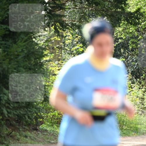 13.04.2025 - Hammer Lauf Dr. Thomas Lammeyer http://msf.ph/oto/7659746 13.04.2025 11:02:17 Laufen  meine-sportfotos.de