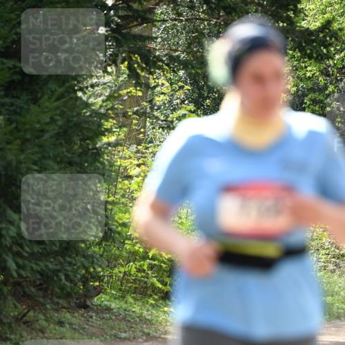 13.04.2025 - Hammer Lauf Dr. Thomas Lammeyer http://msf.ph/oto/7659751 13.04.2025 11:02:17 Laufen  meine-sportfotos.de