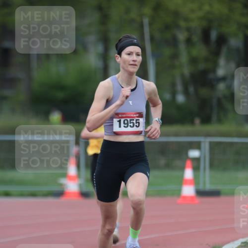 13.04.2025 - Hammer Lauf A. Gomolzig http://msf.ph/oto/7659789 13.04.2025 10:29:39 Ziel 350, 1104, 1739, 1955 meine-sportfotos.de