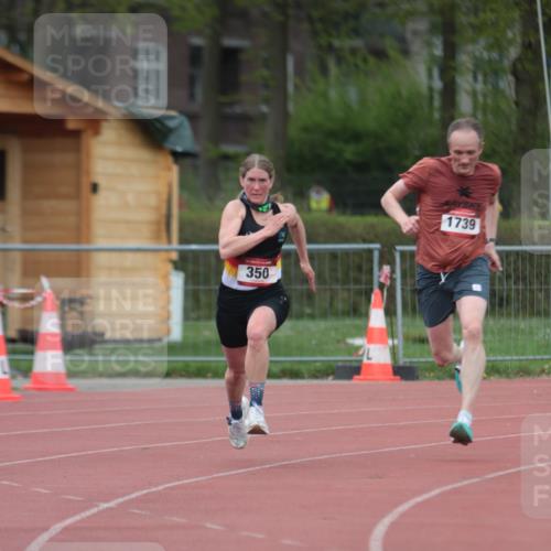 13.04.2025 - Hammer Lauf A. Gomolzig http://msf.ph/oto/7659800 13.04.2025 10:29:43 Ziel 350, 390, 1739 meine-sportfotos.de