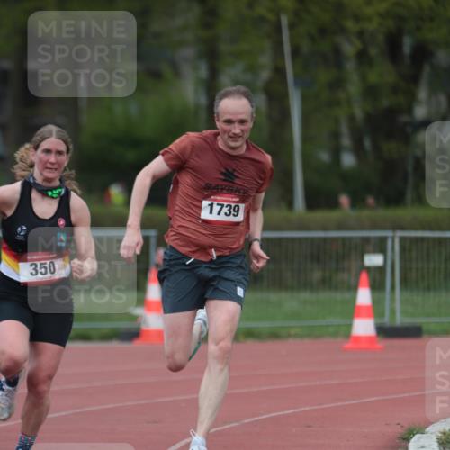 13.04.2025 - Hammer Lauf A. Gomolzig http://msf.ph/oto/7659806 13.04.2025 10:29:44 Ziel 350, 390, 1739 meine-sportfotos.de