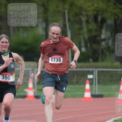 13.04.2025 - Hammer Lauf A. Gomolzig http://msf.ph/oto/7659807 13.04.2025 10:29:44 Ziel 350, 390, 1739 meine-sportfotos.de