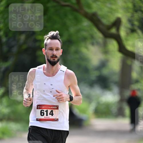 13.04.2025 - Hammer Lauf Dr. Thomas Lammeyer http://msf.ph/oto/7660035 13.04.2025 11:21:03 Laufen 14, 09, 11, 05, 15, 614 meine-sportfotos.de