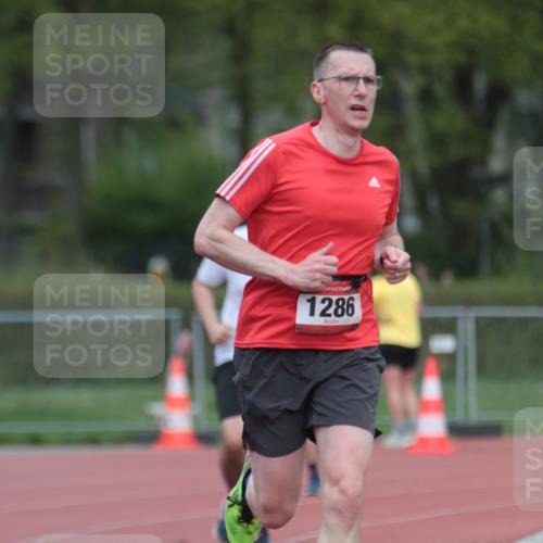 13.04.2025 - Hammer Lauf A. Gomolzig http://msf.ph/oto/7660125 13.04.2025 10:34:15 Ziel 197, 285, 1197, 1286 meine-sportfotos.de