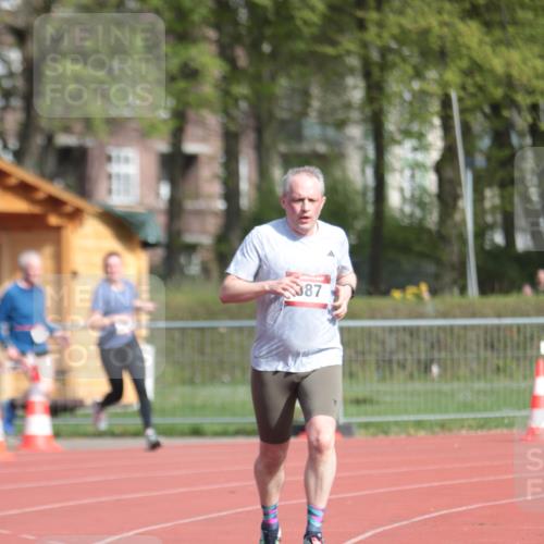 13.04.2025 - Hammer Lauf A. Gomolzig http://msf.ph/oto/7660654 13.04.2025 10:39:19 Ziel 387, 646, 904 meine-sportfotos.de