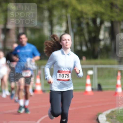 13.04.2025 - Hammer Lauf A. Gomolzig http://msf.ph/oto/7660913 13.04.2025 10:42:19 Ziel 525, 526, 550, 772, 926, 1061, 1079, 1990 meine-sportfotos.de