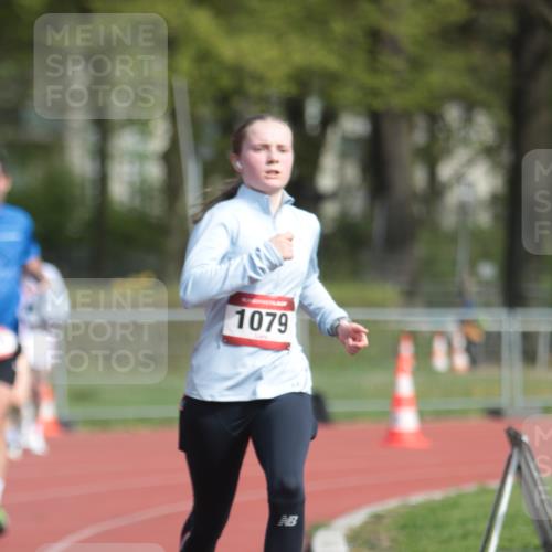 13.04.2025 - Hammer Lauf A. Gomolzig http://msf.ph/oto/7660915 13.04.2025 10:42:20 Ziel 525, 526, 550, 772, 926, 1061, 1079, 1990 meine-sportfotos.de