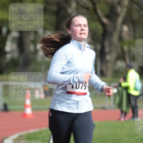 13.04.2025 - Hammer Lauf A. Gomolzig http://msf.ph/oto/7660919 13.04.2025 10:42:20 Ziel 525, 526, 550, 772, 926, 1061, 1079, 1990 meine-sportfotos.de