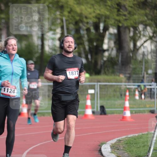 13.04.2025 - Hammer Lauf A. Gomolzig http://msf.ph/oto/7660978 13.04.2025 10:43:22 Ziel 159, 1124, 1805, 1877, 1956 meine-sportfotos.de