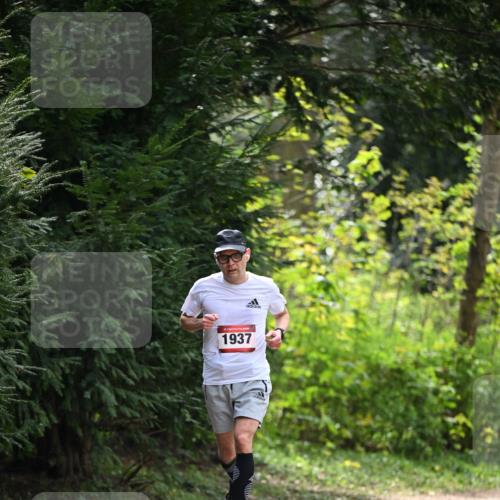 13.04.2025 - Hammer Lauf Dr. Thomas Lammeyer http://msf.ph/oto/7660981 13.04.2025 11:25:28 Laufen 1937 meine-sportfotos.de
