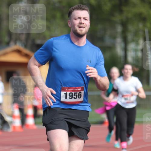 13.04.2025 - Hammer Lauf A. Gomolzig http://msf.ph/oto/7660998 13.04.2025 10:43:32 Ziel 146, 460, 544, 962, 965, 994, 1588, 1956 meine-sportfotos.de