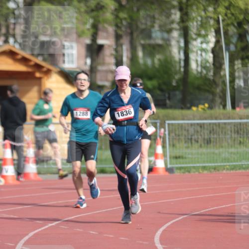 13.04.2025 - Hammer Lauf A. Gomolzig http://msf.ph/oto/7661103 13.04.2025 10:44:34 Ziel 291, 752, 776, 1288, 1836 meine-sportfotos.de