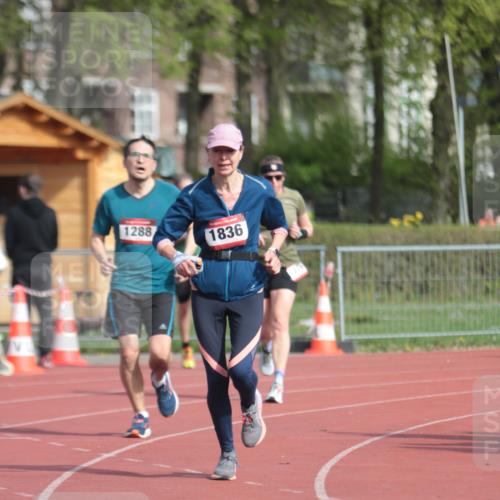 13.04.2025 - Hammer Lauf A. Gomolzig http://msf.ph/oto/7661105 13.04.2025 10:44:34 Ziel 291, 752, 776, 1288, 1836 meine-sportfotos.de
